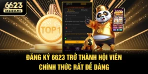 dang-ky-6623-tro-thanh-hoi-vien-chinh-thuc-rat-de-dang